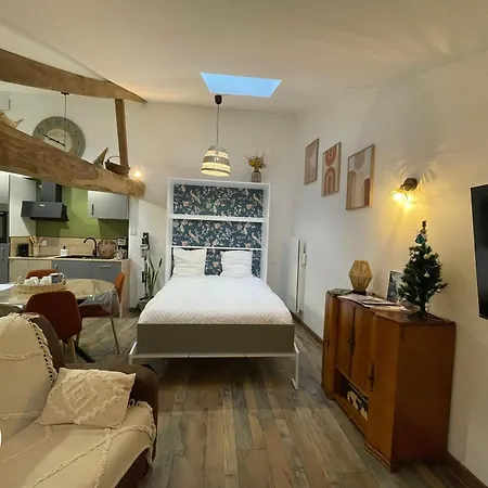 En Vendee Proche Puy Du Fou - Fr-1-426-566 Saint-Hilaire-le-Vouhis