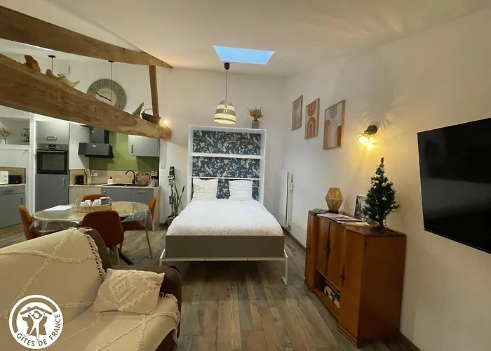 En Vendee Proche Puy Du Fou - Fr-1-426-566 Saint-Hilaire-le-Vouhis