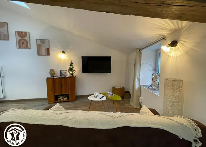 En Vendee Proche Puy Du Fou - Fr-1-426-566 * Saint-Hilaire-le-Vouhis